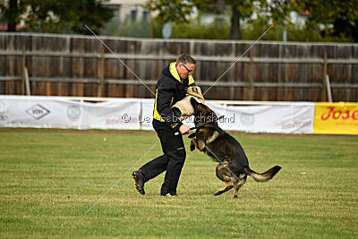 Baldo von der roten Zora