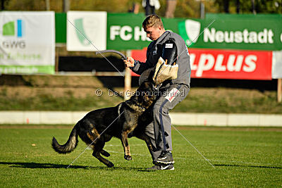 Bandit vom Steinsaal