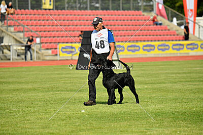 Barrac of Giant Black Hawks