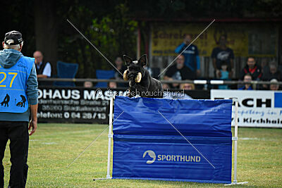 Barracof Giant Black Hawks