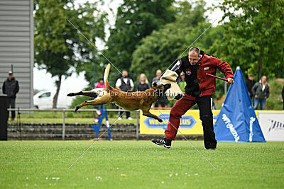 Barry de Fontemordant