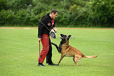 Barry de Fontemordant