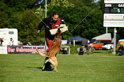 Barry de Fontemordant