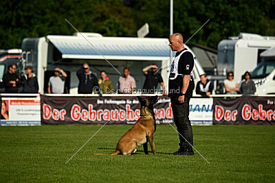 Barry de Fontemordant