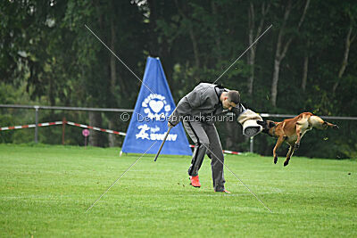 Basko von der Klassikerstadt