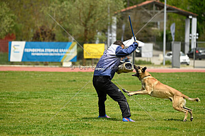 Baxus iz Gratsiano