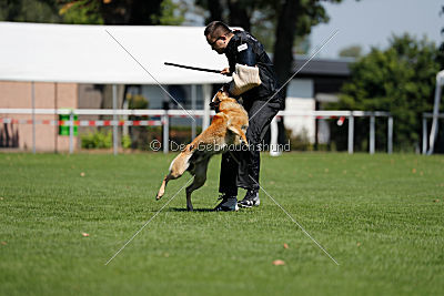 Baxx vom roten Drachen