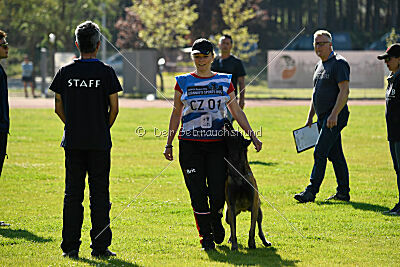 Be Eddy de Fontemordant