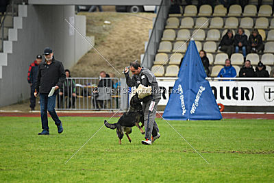 Bea vom Great Digger
