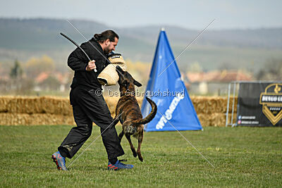 Bear Drive Unlimited