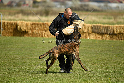 Bear Drive Unlimited