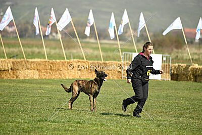 Bear Drive Unlimited