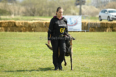 Bear Drive Unlimited