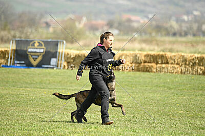 Bear Drive Unlimited