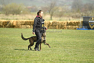 Bear Drive Unlimited