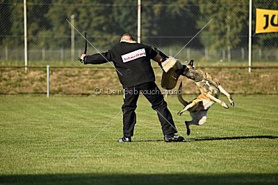 Beck's on silent wings