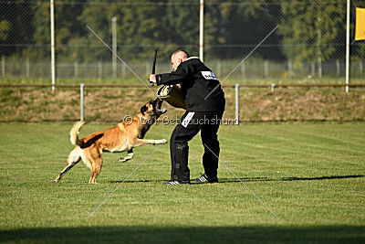 Beck's on silent wings