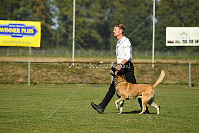 Beck's on silent wings