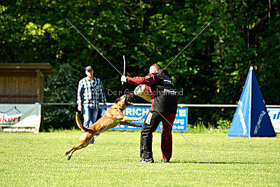 Beetlejuice on silent wings