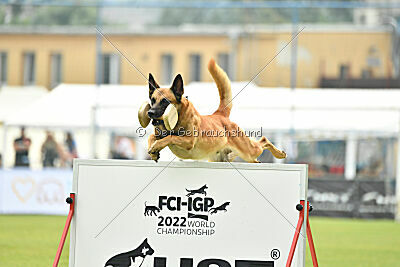 Berec vom Haus Edental