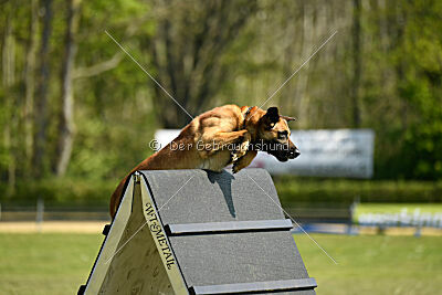 Berec vom Haus Edental