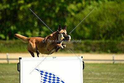 Berec vom Haus Edental
