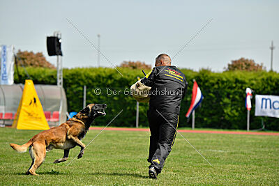 Berry de Fontemordant