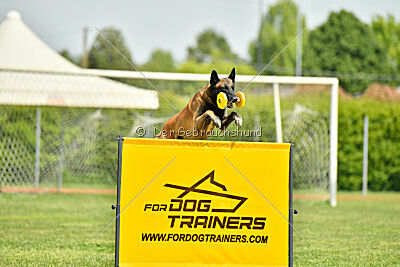 Berry de Fontemordant