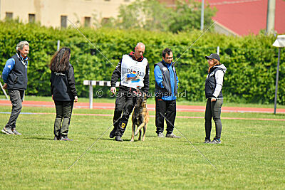 Berry de Fontemordant