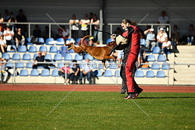 Bert von der Neckarschleife