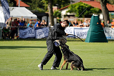 Bexter vom tapferen Krieger