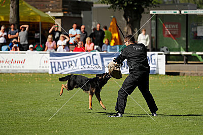 Bexter vom tapferen Krieger
