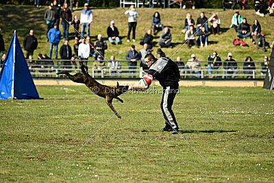 Bico z Kimovy smeèky