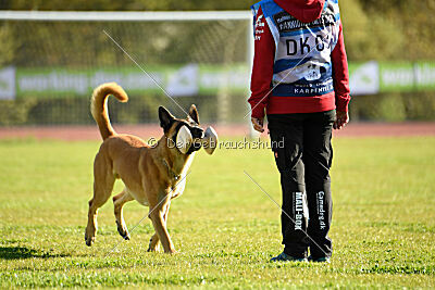 Bob Marley Is Always Crazy