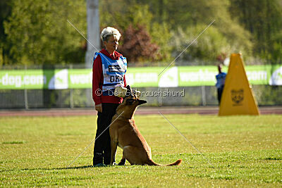 Bob Marley Is Always Crazy