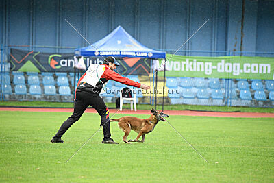 Bomba del Tiempo de Fontemordant