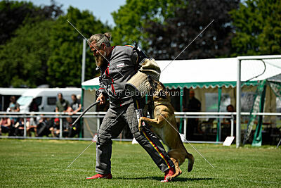 Bondage von Zamonien