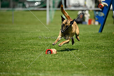 Bondage von Zamonien