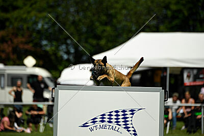 Bondage von Zamonien