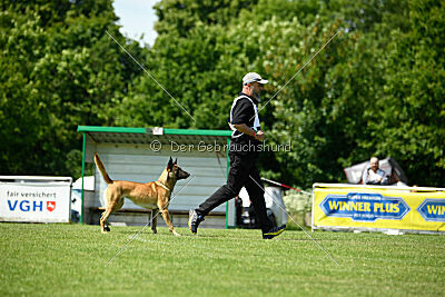 Bondage von Zamonien