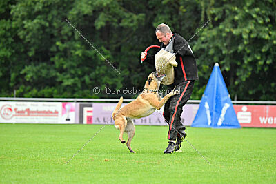 Bondage von Zamonien