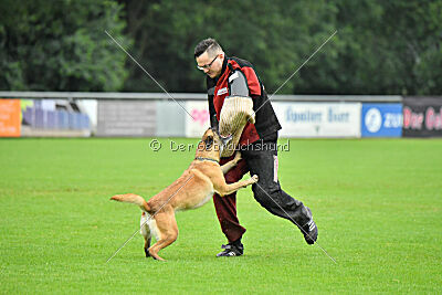 Bondage von Zamonien