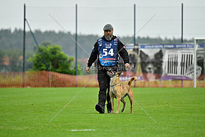 Bondage von Zamonien