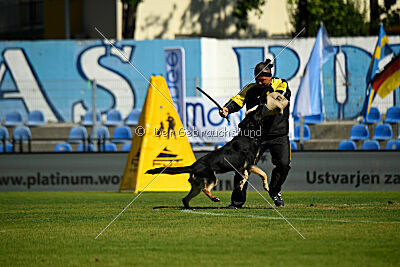 Bono Extreme Arakon Land