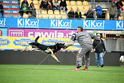 Bono Extreme Arakon Land