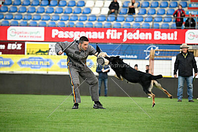 Bono Extreme Arakon Land