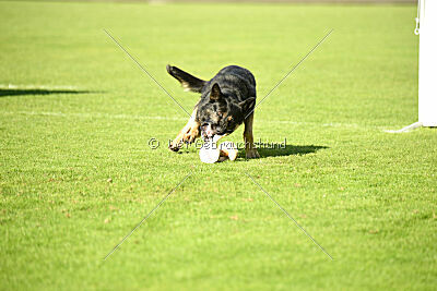 Bono Extreme Arakon Land