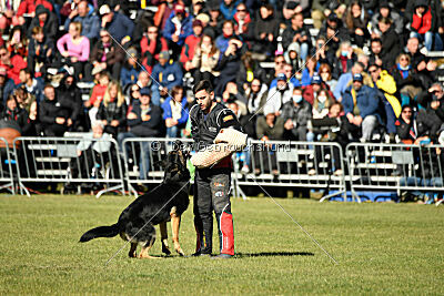 Bono Extreme Arakon Land