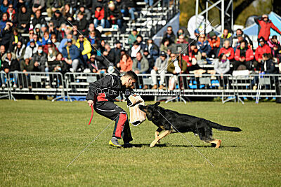 Bono Extreme Arakon Land