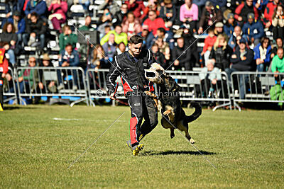 Bono Extreme Arakon Land